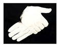 Nylon Stretch Parade Gloves with Snap